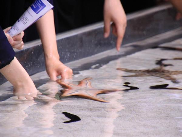 คะริยุชิ คอนโดมีเนียม รีสอร์ต นะโงะ อาร์บี วิลลา นาคิจิน ภายนอก รูปภาพ